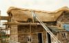 gal/Water Reed, Chester/_thb_mini-Thatching Pic (3).jpg